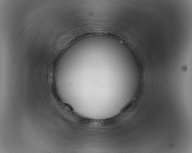 X0000111820080200907231035