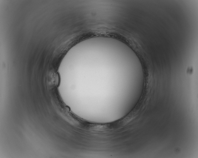 X0000111820081200907231035