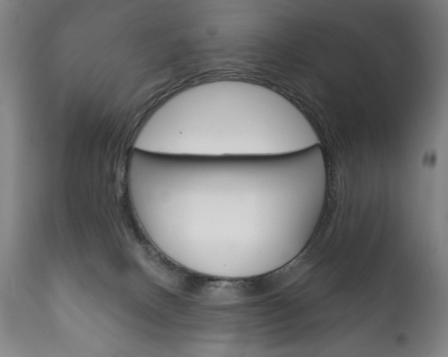 X0000111820082200907231035