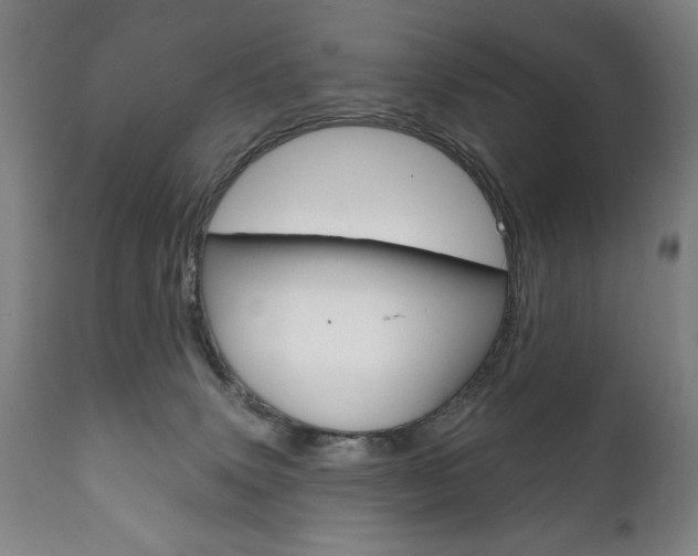 X0000111820083200907231035