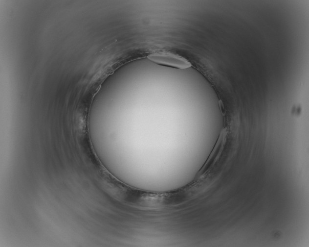 X0000111820084200907231035