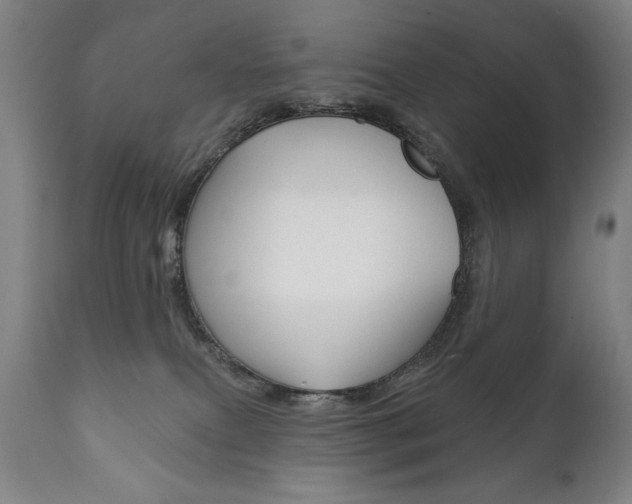 X0000111820087200907231035