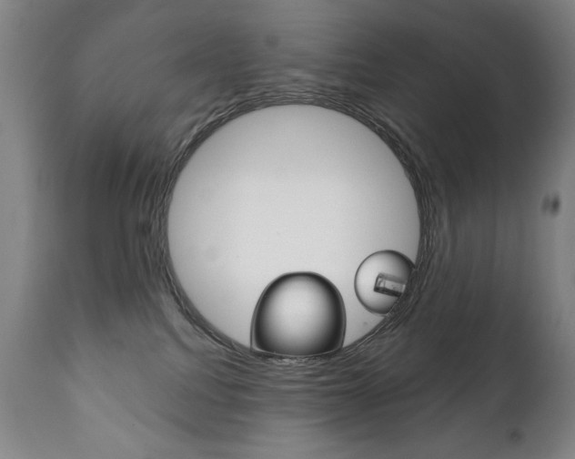 X0000111820088200907231035