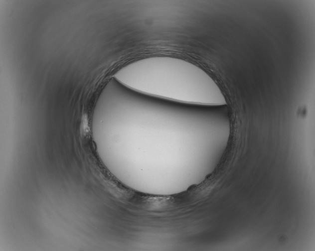 X0000111820089200907231035