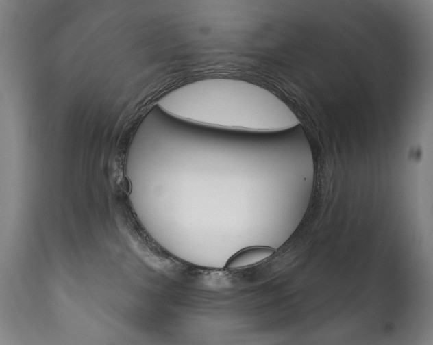 X0000111820091200907231035