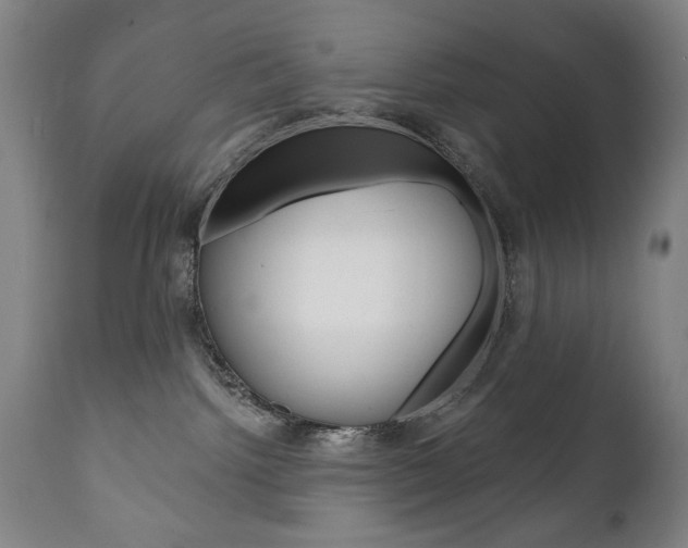 X0000111820092200907231035