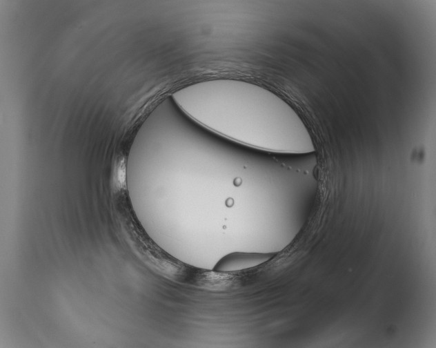 X0000111820095200907231035