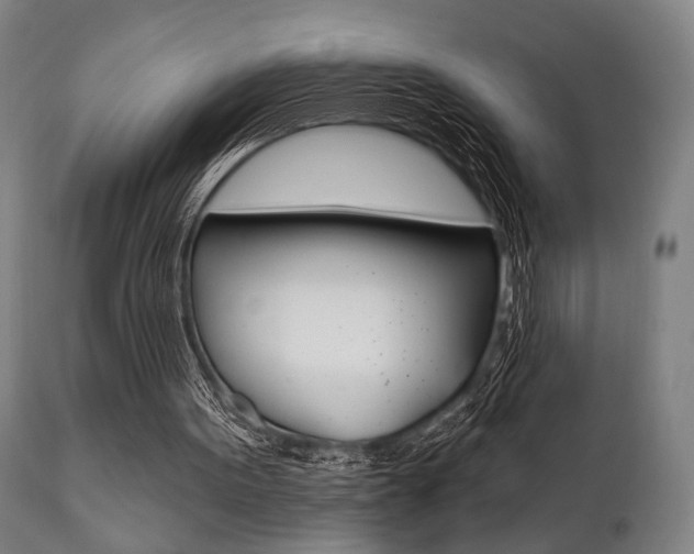 X0000111820099200907231034
