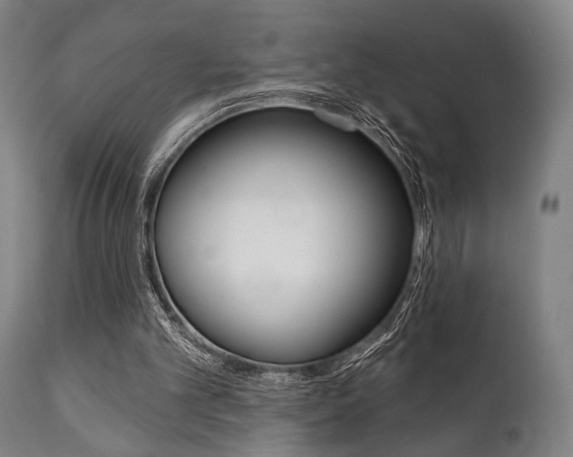 X0000111820101200907231034