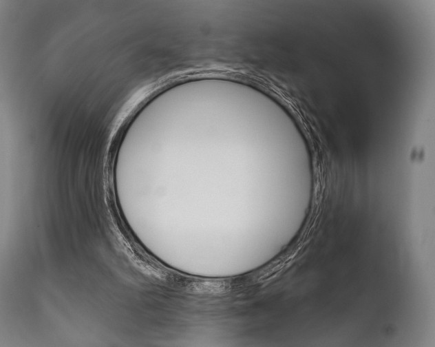 X0000111820102200907231034