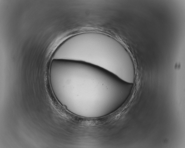 X0000111820103200907231034