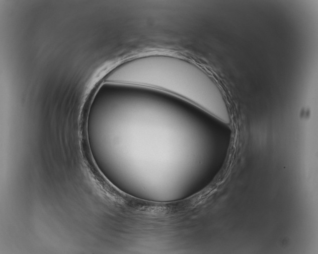 X0000111820104200907231034