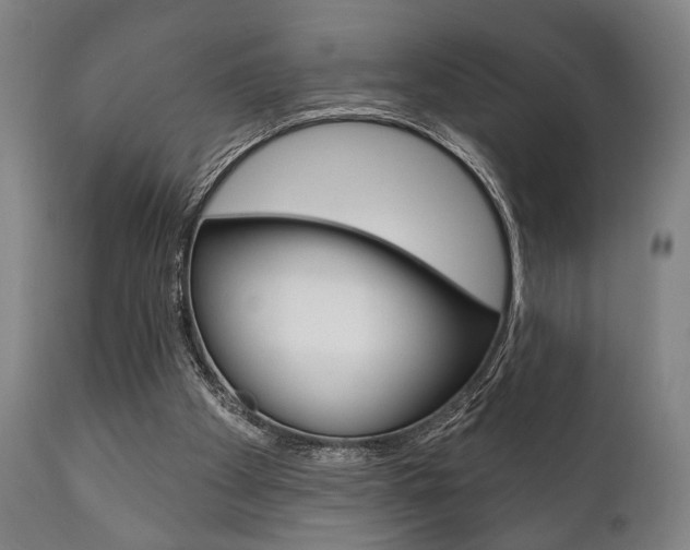 X0000111820105200907231034