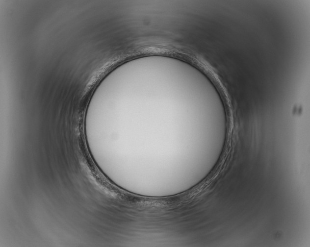 X0000111820106200907231034