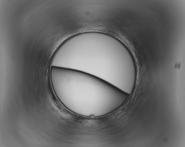 X0000111820107200907231034