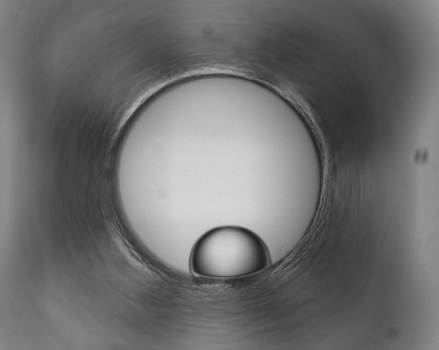 X0000111820108200907231034