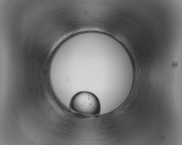 X0000111820112200907231034