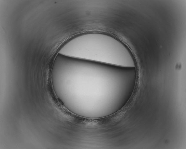X0000111820113200907231034