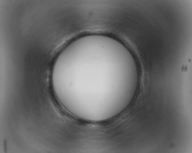X0000111820115200907231034