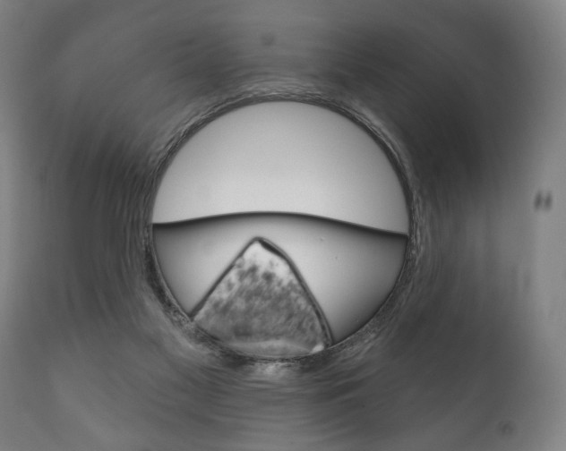 X0000111820117200907231034