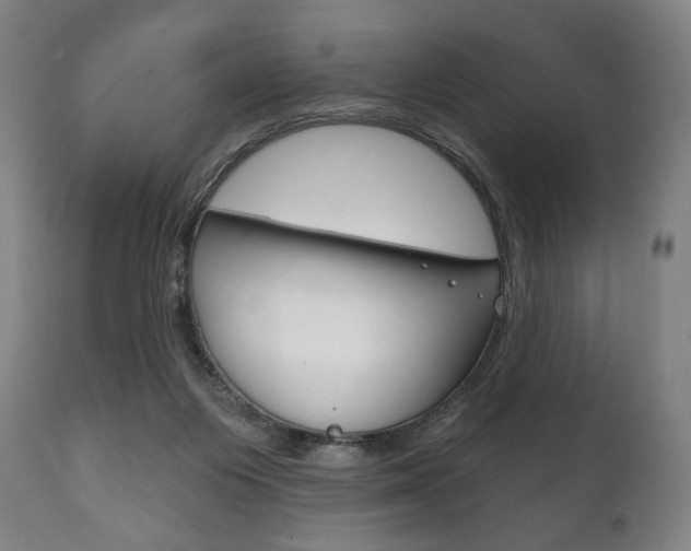 X0000111820119200907231034
