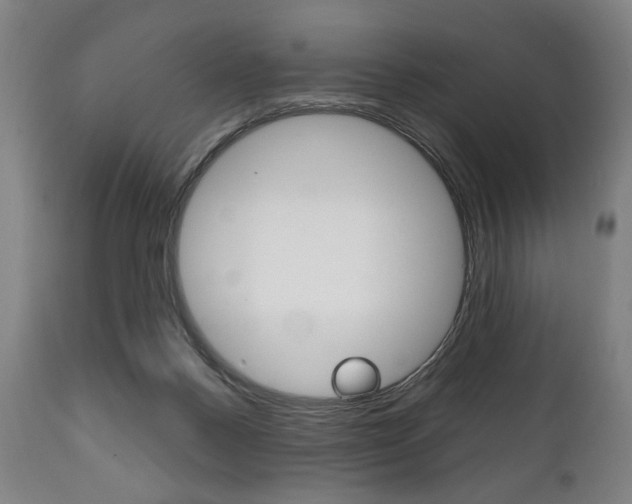 X0000111820120200907231034