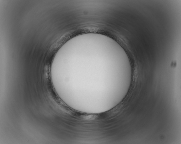 X0000111820122200907231034