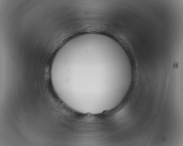 X0000111820123200907231034
