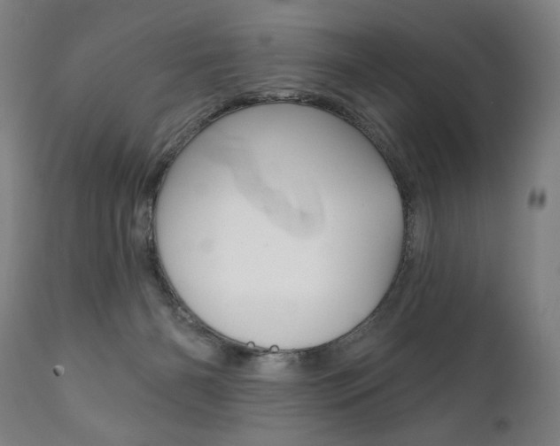 X0000111820126200907231034