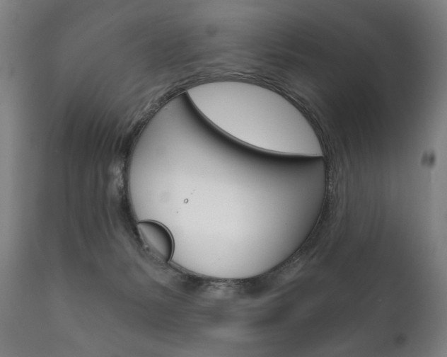 X0000111820127200907231034