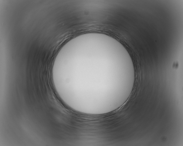 X0000111820128200907231034