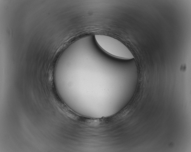 X0000111820131200907231034