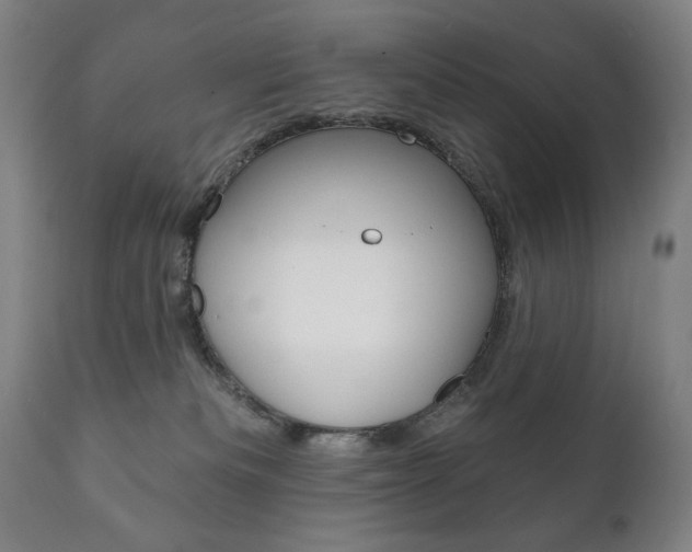 X0000111820133200907231034
