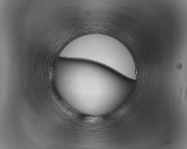 X0000111820135200907231034