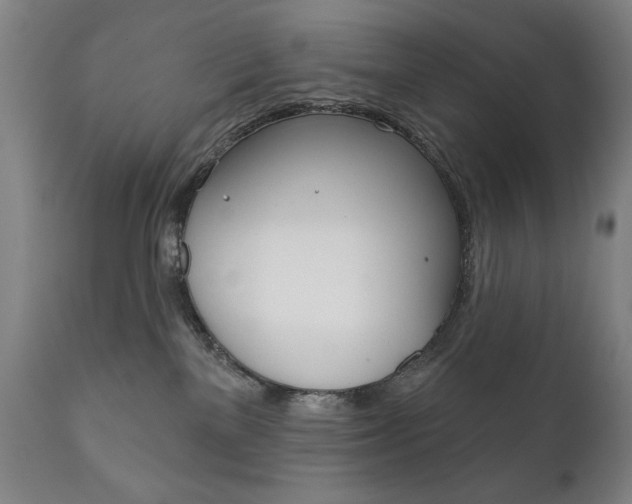 X0000111820137200907231034