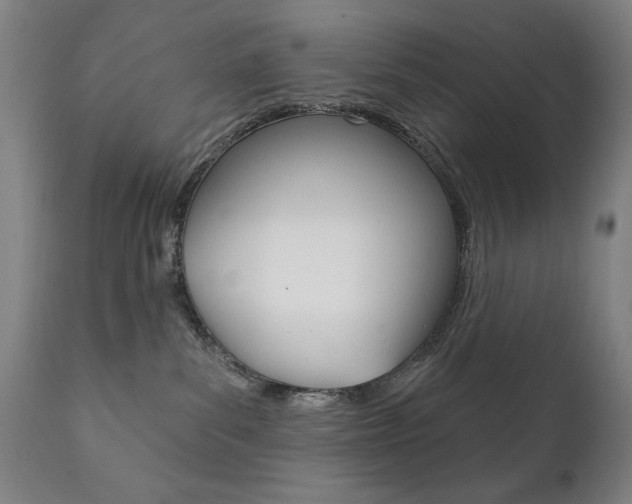 X0000111820139200907231034