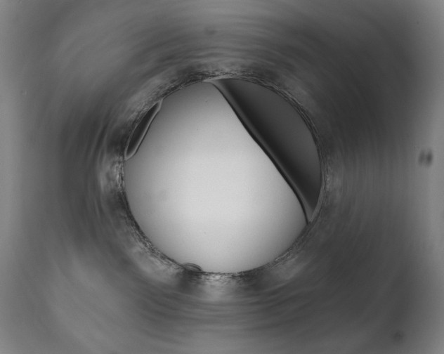 X0000111820141200907231033