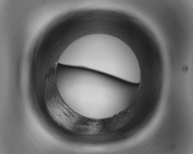 X0000111820143200907231033