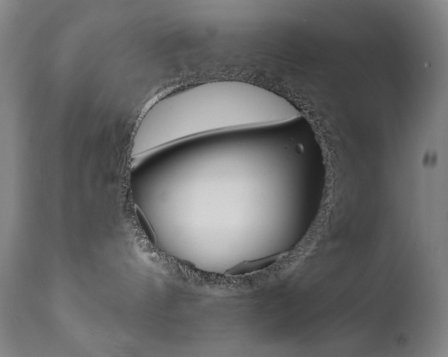 X0000111820144200907231033