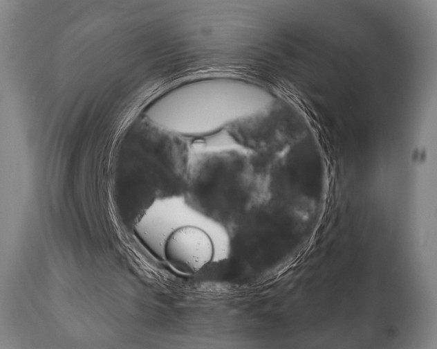 X0000111820145200907231033