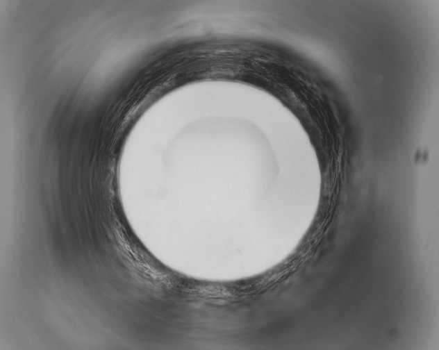 X0000111820146200907231033