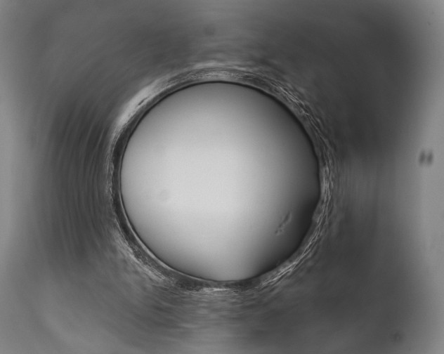 X0000111820150200907231033