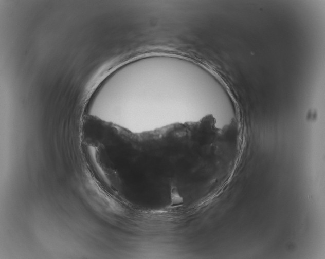 X0000111820151200907231033
