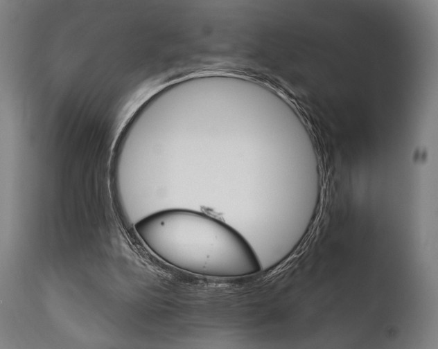 X0000111820152200907231033