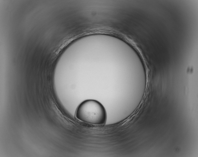 X0000111820154200907231033