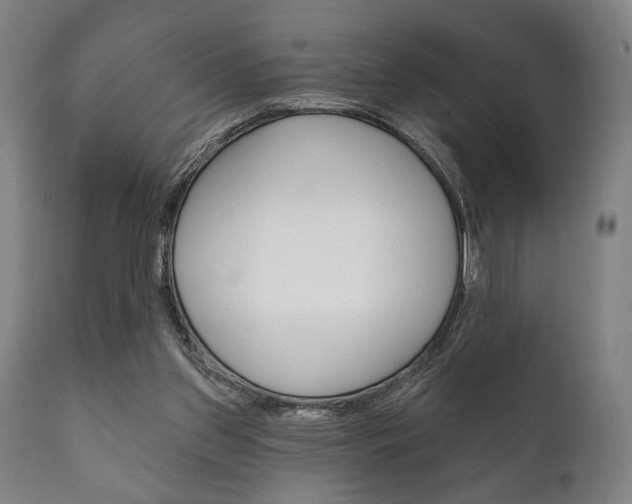 X0000111820157200907231033