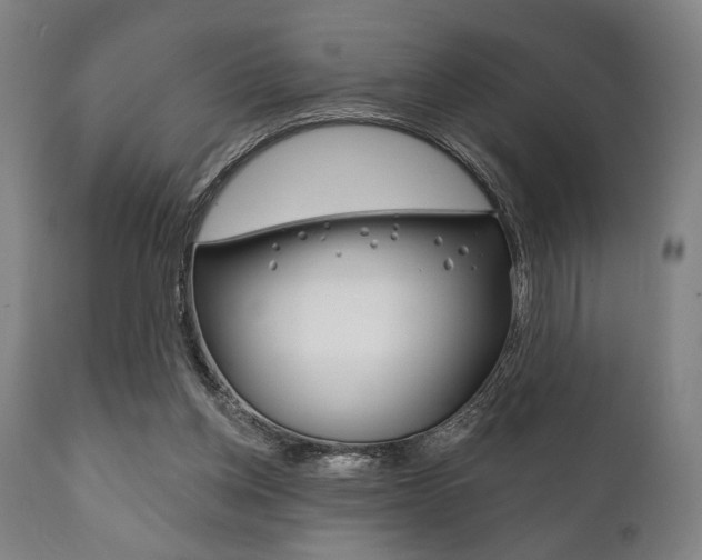 X0000111820158200907231033