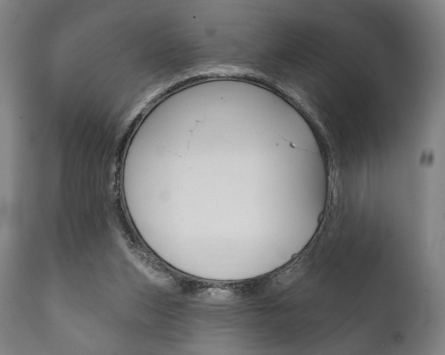 X0000111820159200907231033