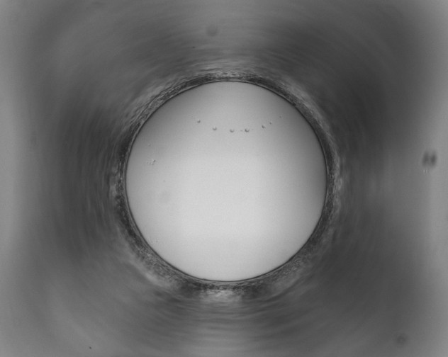X0000111820161200907231033