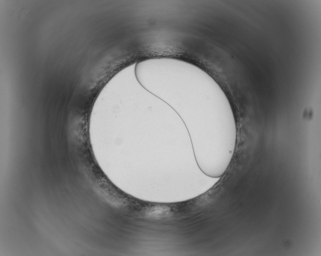X0000111820162200907231033